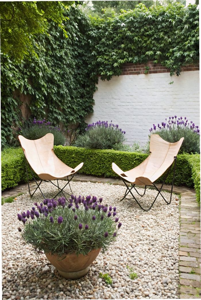 Two butterfly chairs on smooth pebbles surrounded by lavender plants and neatly trimmed hedges create a tranquil backyard relaxation area.
