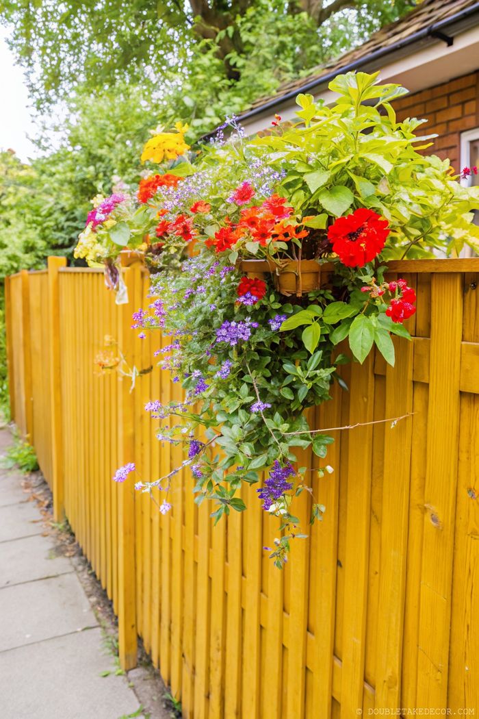 Yellow wooden fence with bright red, orange, and purple flowers in a container, creating natural privacy along garden path.