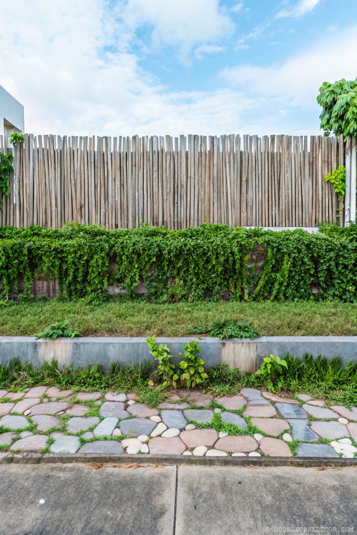 Vertical wooden slats fence with lush vines and plants creating a natural privacy screen alongside a stone pathway