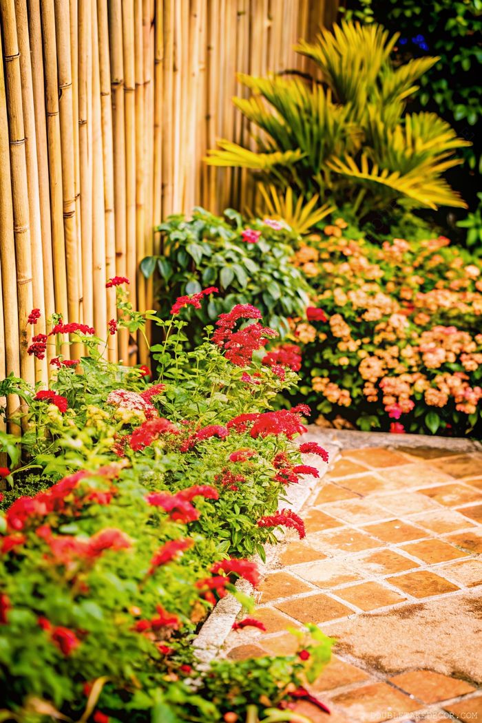 Garden path with red flowers and bamboo fence creating a natural privacy barrier with lush greenery