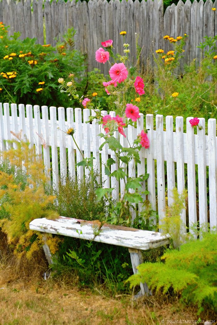 Charming garden with white picket fence adorned by pink hollyhocks and yellow flowers surrounding a wooden bench.