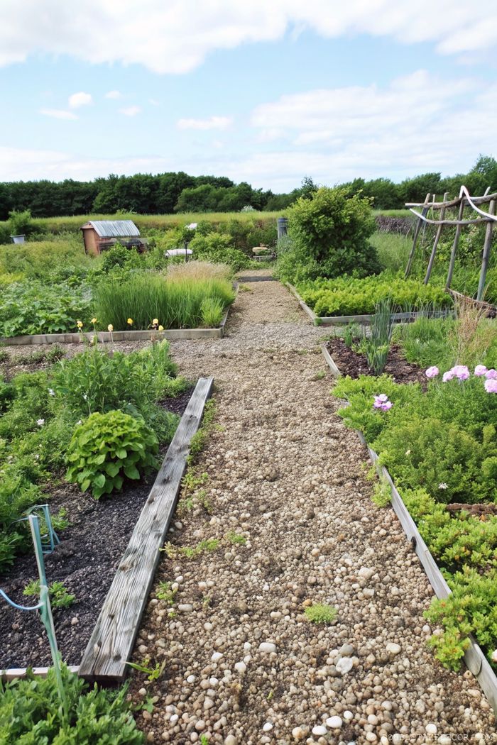 Gemeinschaftsgarten mit ordentlich angelegten Beeten. Die Kieswege sind mit Holzbrettern eingerahmt.