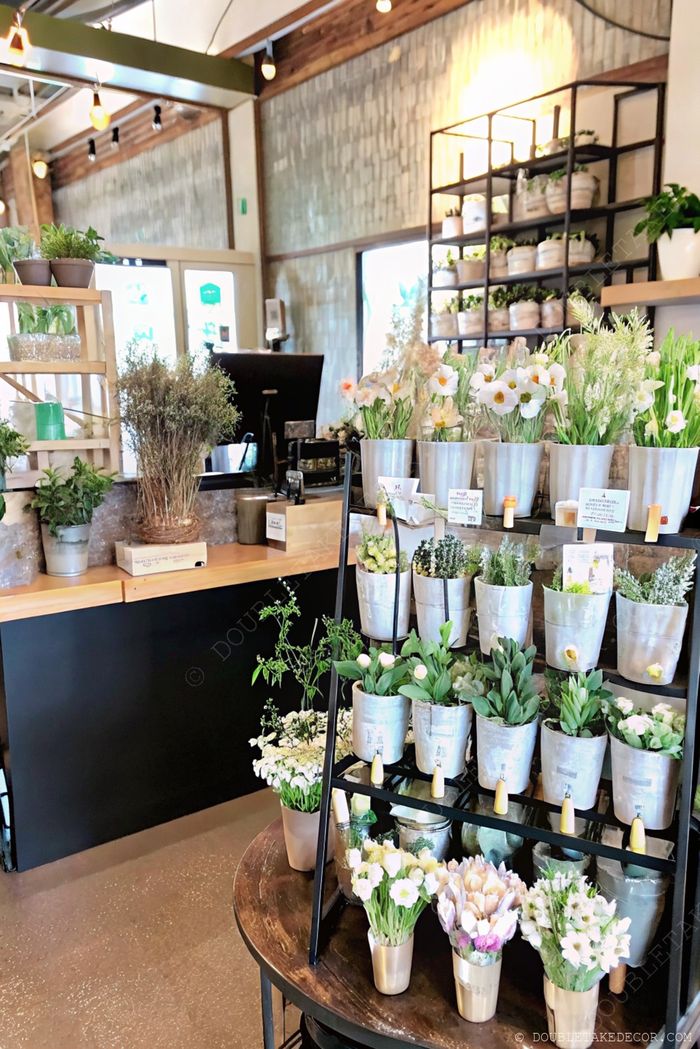 Charming flower bar with labeled metallic pots on black display stand, surrounded by potted plants and warm cafe ambiance