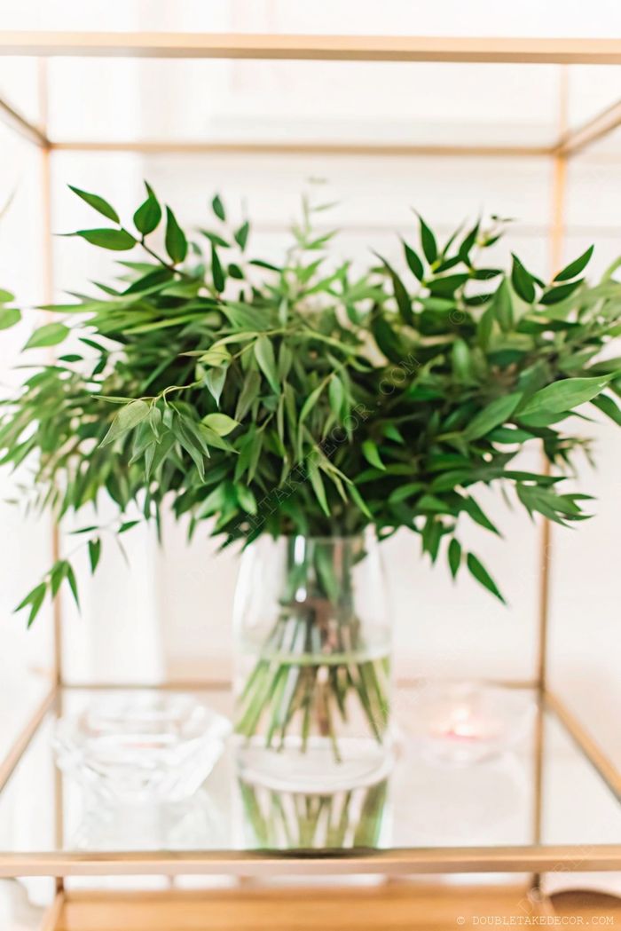 Vibrant green foliage arranged in a clear glass vase on a mirrored surface, creating an elegant, natural accent for modern home decor.