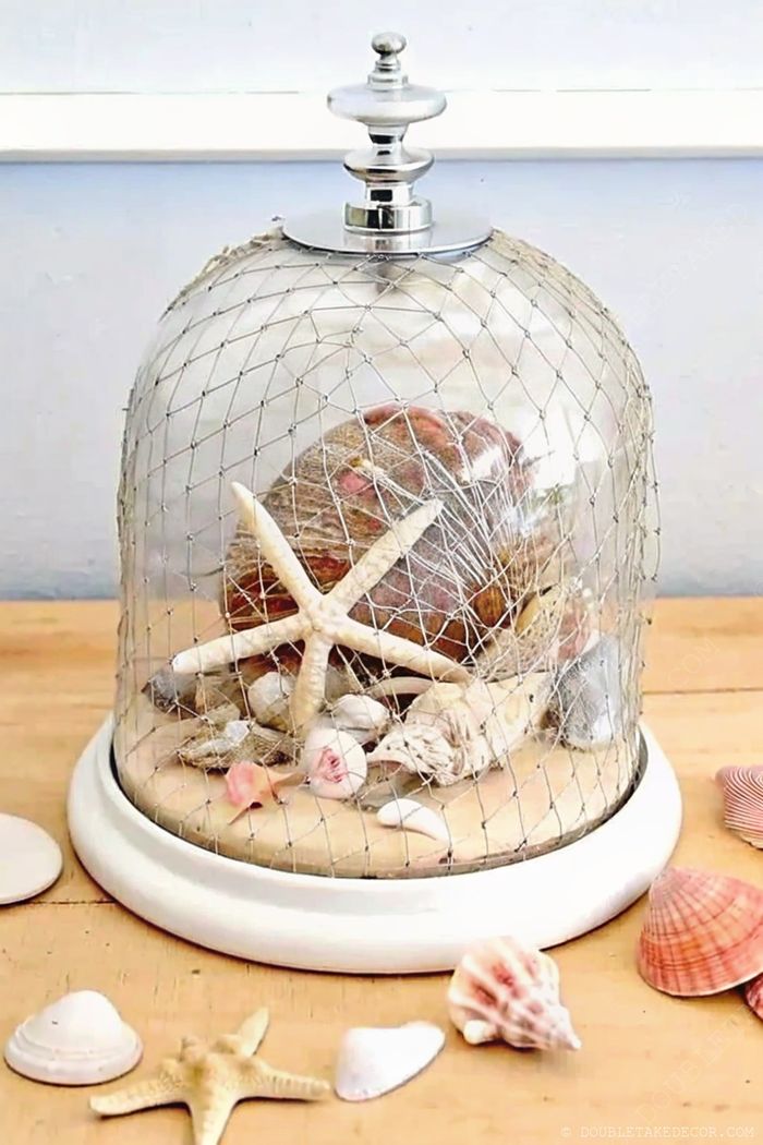 Glass dome on white wooden base with seashells and starfish arranged under metallic mesh for nautical home decor