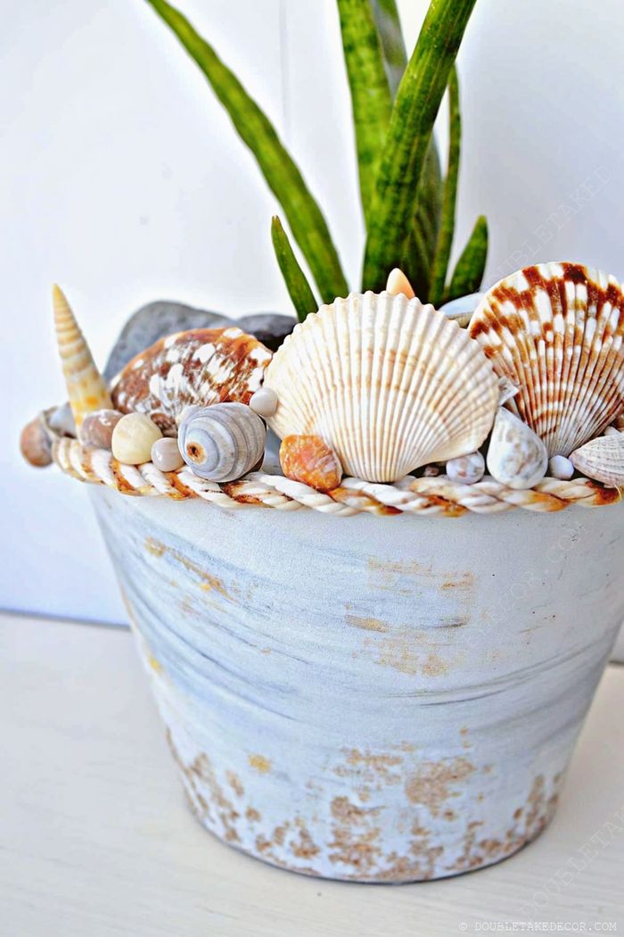 Decorative gray planter adorned with seashells, stones and rope detail, featuring a green succulent for coastal-themed home decor.