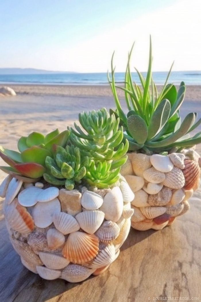 Decorative seashell planters filled with vibrant green succulents displayed on sandy beach with ocean waves in background.