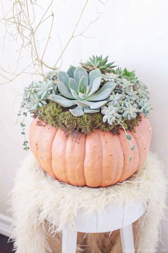 Pale orange pumpkin filled with vibrant succulents and moss, sitting on a white stool with fluffy fabric for Halloween table decor