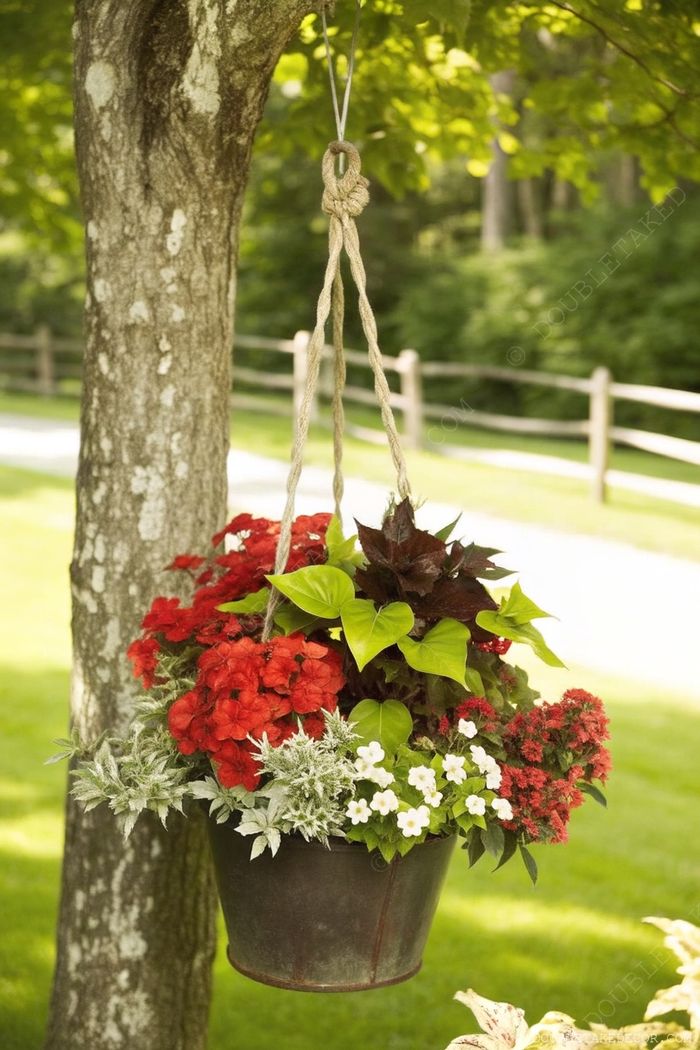Vibrant hanging planter with red and white blooms suspended from a tree branch, creating a charming garden accent.