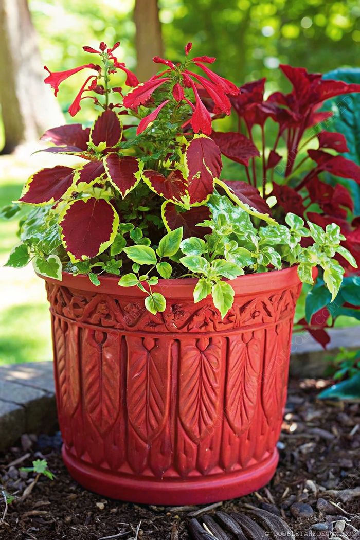 Ornate red planter showcasing diverse foliage with striking red-yellow leaves and variegated greens against a serene garden backdrop.