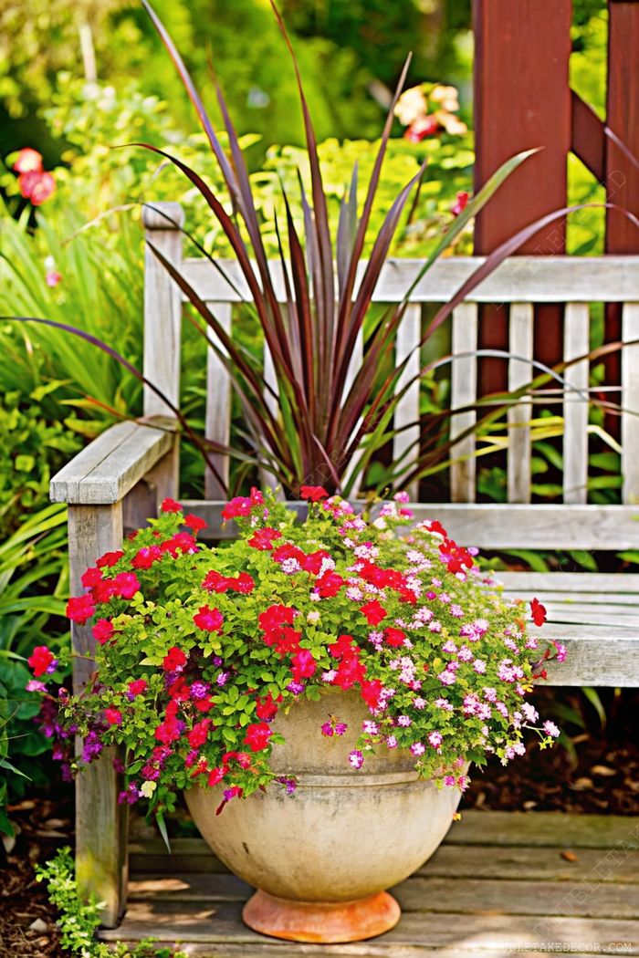 Weathered wooden bench in a garden with an overflowing terracotta pot of red, pink and purple flowers, creating a serene relaxation spot