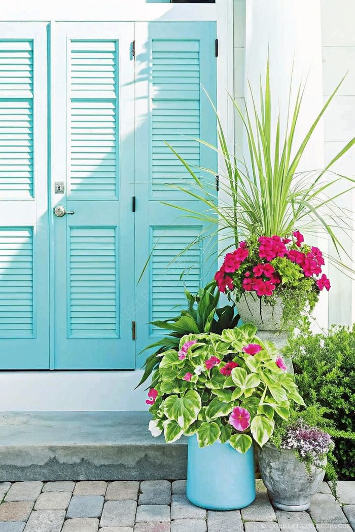 Turquoise shuttered door with two lush planters featuring pink flowers and greenery, creating an inviting tropical entrance on stone pavers.