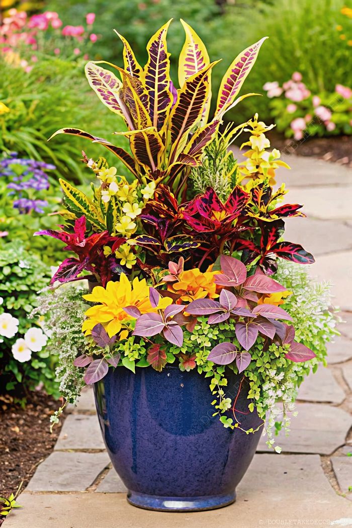 A large blue ceramic planter featuring a colorful arrangement of yellow-purple leaves, bright flowers, and green foliage on a stone pathway.