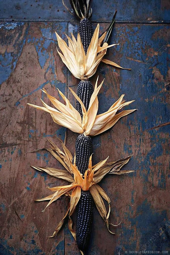 Dried purple-black corn cobs with yellow husks arranged vertically against rustic blue wooden background, creating dramatic autumn decor.